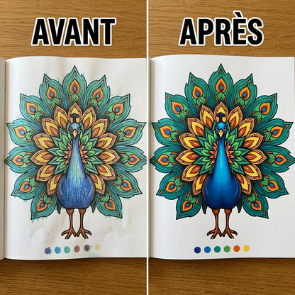 ARTÉLIA™ - Feutres Acrylique